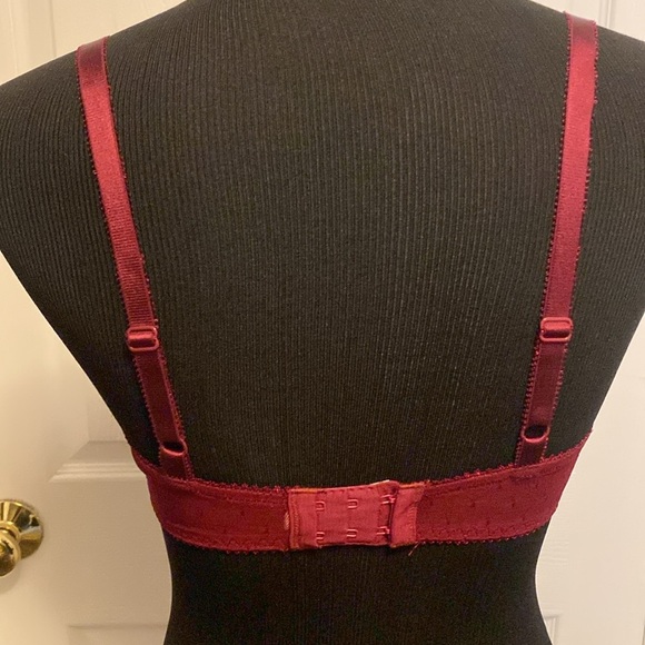 Apt. 9 Sexy Wine Color See Thru Lace Bra Sz 36C NWOT - Picture 5 of 6